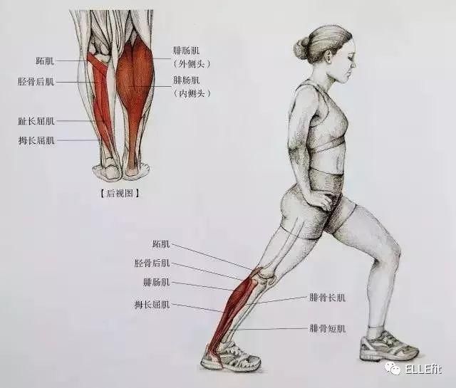 坐姿脚趾朝上 拉伸腿伸直,另一条腿脚掌贴大腿,拉伸大小腿后侧肌肉