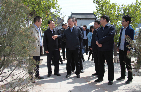 晋中市市委常委纪委书记监委主任丁利军深入太谷县