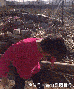 搞笑gif图:别得罪老婆,不然下场和他们一样!