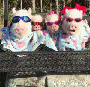 搞笑gif: 这是谁家的媳妇, 也没人管管!