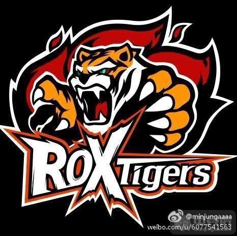 新rox tigers,新rox tiger