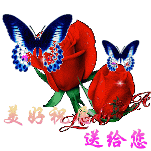 一段岁月难以忘记,一句祝福伴你左右,朋友,认识你真好