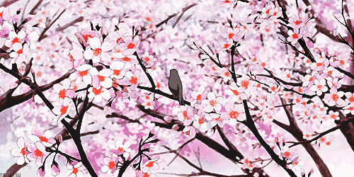 赏花正当时,莫负好春光|义乌原来藏了这么多赏花胜地!