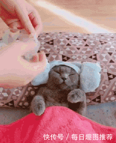 搞笑gif图:媳妇过完这个生日,一定终身难忘!