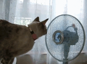 爆笑gif:兰博基尼硬是不如俺村的拖拉机耐用