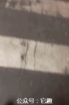 搞笑gif图:大哥,欢乐喜剧人是不是侵犯你肖像权了?