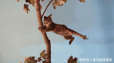 这台风太强了,谁来护驾啊
