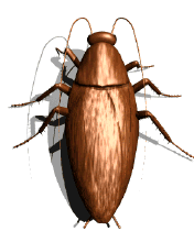 家里放一物绝对没蟑螂