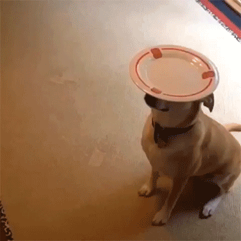 搞笑gif:妹子平衡力真不错啊,跟一路也没掉