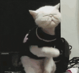 搞笑gif:都要死了,爽一下怎么了?