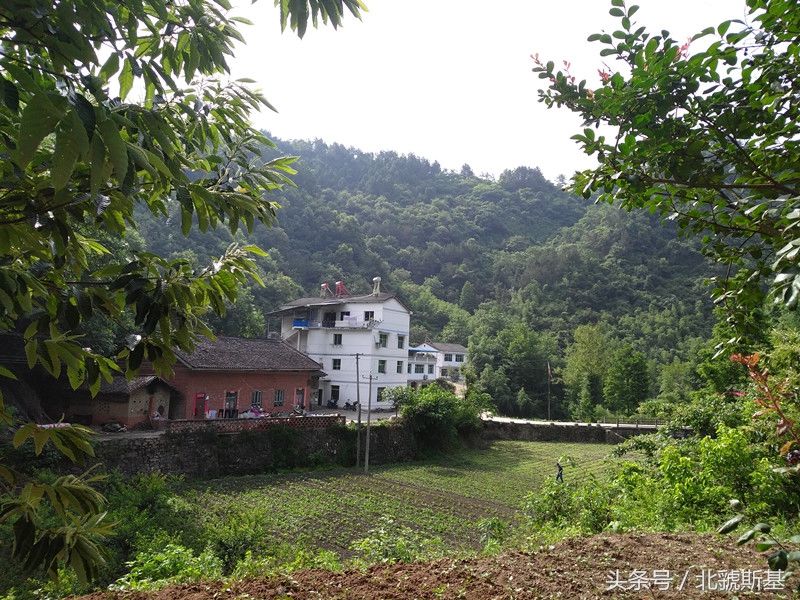 陕南山区农村真实生活,有人留守有人举家外出门长草