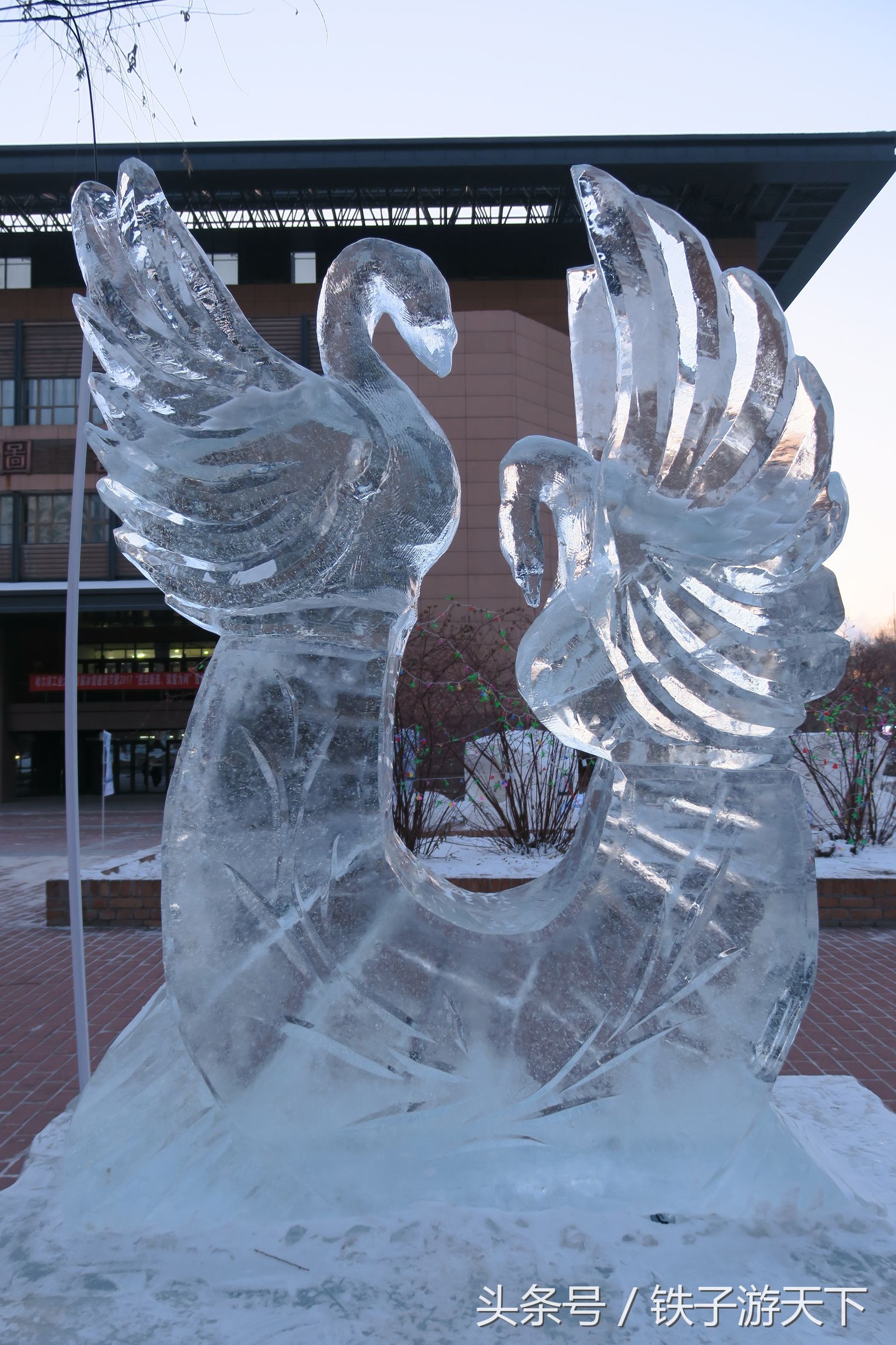 哈尔滨工业大学的"冰雕艺术展"