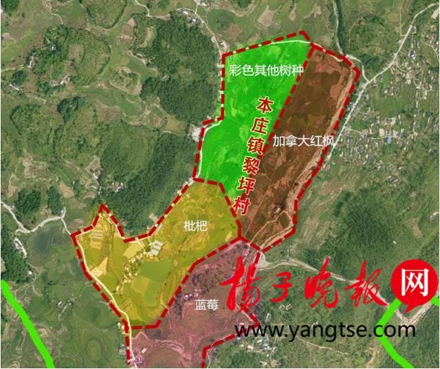 双方将在石阡县合作建设1000亩农业产业示范园,其中包括250亩彩色
