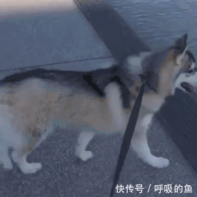 2.放眼望去都是朕的氵.卧槽!