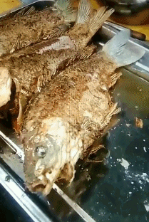 ▼救救我,我还可以抢救一下下