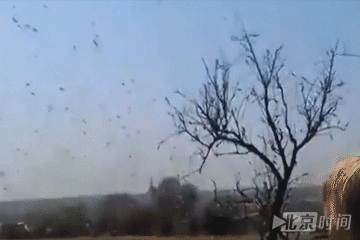 360_240gif 动态图 动图