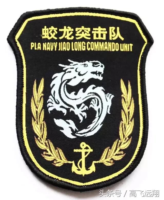 中国十大特种部队专属徽章,你都知道那几个