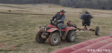 爆笑gif动图:甜美的笑容,请问你被迷住了吗?