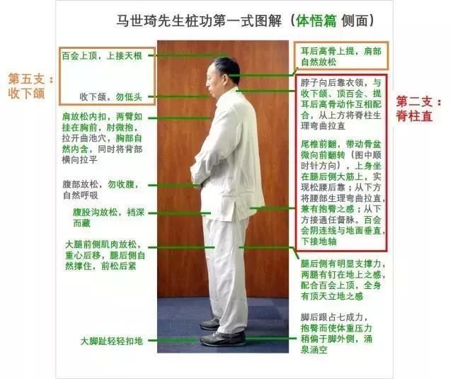 因为马老站桩的姿势中也蕴含着很深的奥秘,我们来和七支坐法做一个