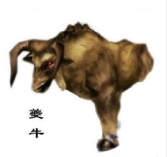 夔牛  