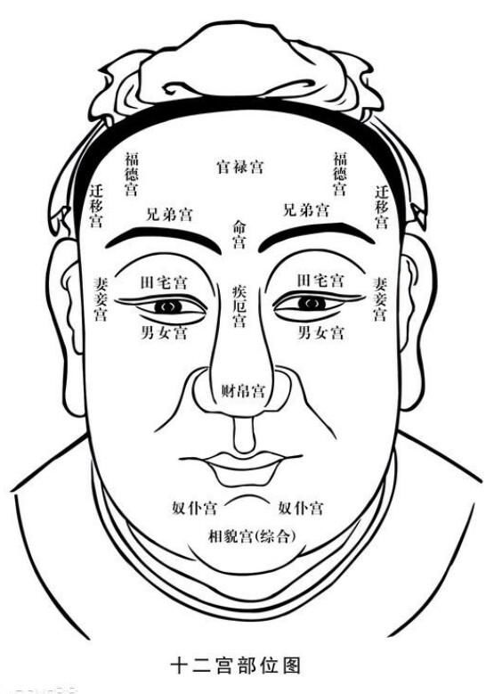 秒懂面相:六阳之首,五行之宗--观头型知人术