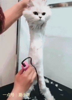 搞笑gif:提醒各位吃货吃自助一定要悠着点,不然男朋友