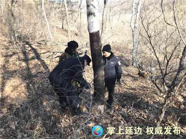 珲春森林公安开展清套行动保护野生动物安全
