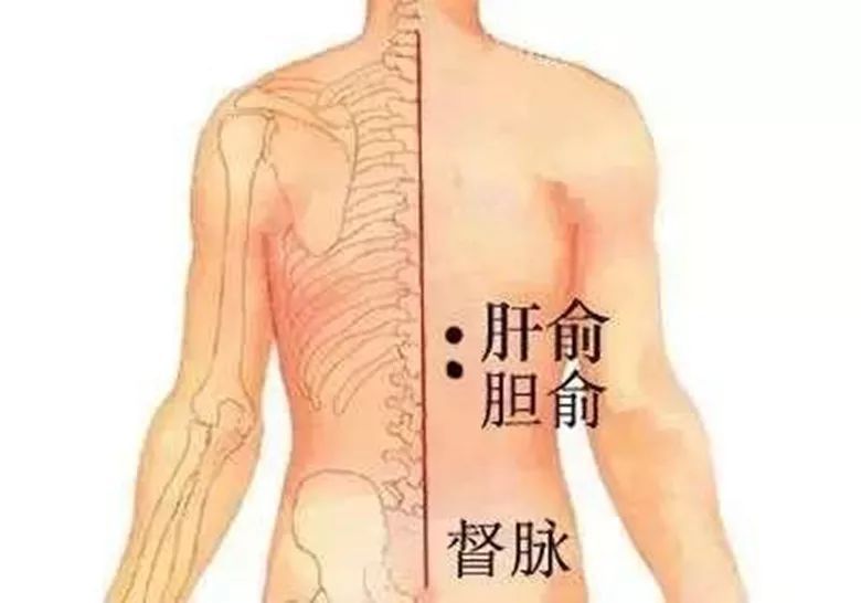 穴位艾灸治疗调摄胆结石的操作方法