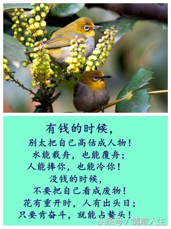 人活着别欺,别算,别得瑟!