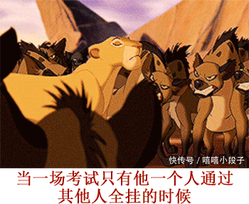 爆笑gif:喵君,任何状态都很萌哦!