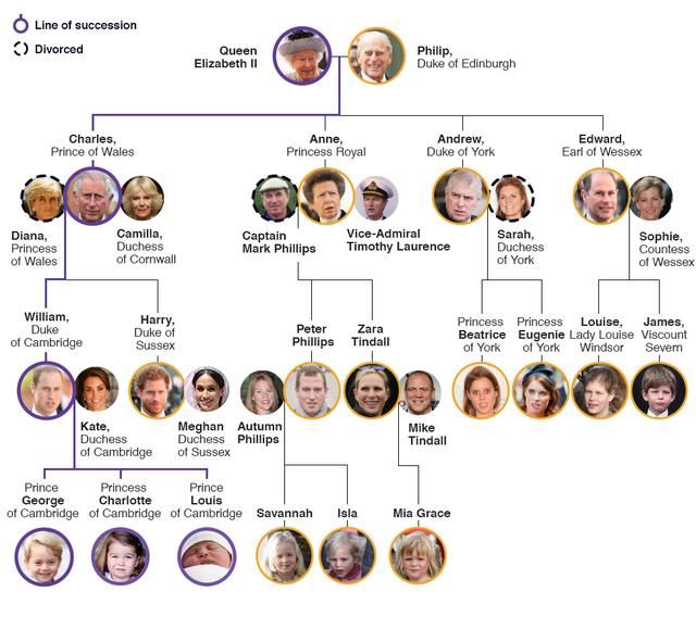 下图是最新版英国王室家谱 威尔士亲王(getty images) 第一顺位继承人