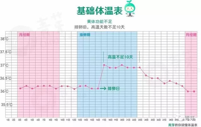 一张体温表解读你为啥不怀孕