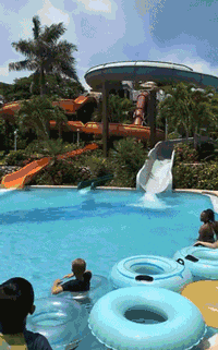 搞笑gif段子:这样的妹子,请给我来一打