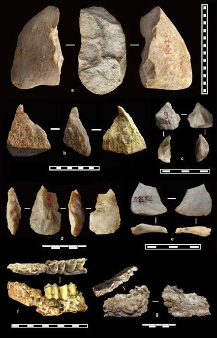 考古新发现：212万年前黄土高原已现人迹（图）