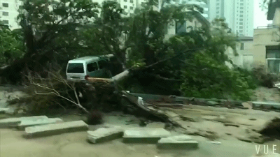 直击|台风帕卡登陆 记者冒雨播报险被吹走