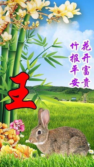 属兔招财吉利手机壁纸,63年兔旺财旺运的头像 姓氏壁纸:祝属兔的今年发大财:1999,1987,1975,1963,1951