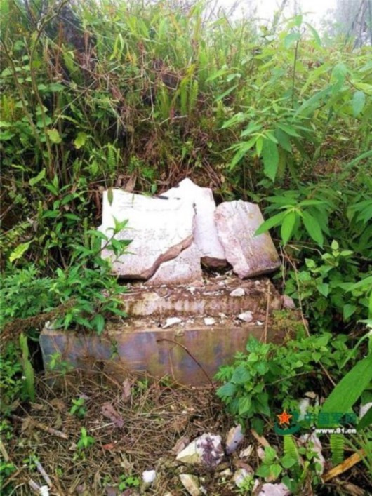 图片来源:中国军网 标签: 近日,在云南省麻栗坡县八里河东山,云南省