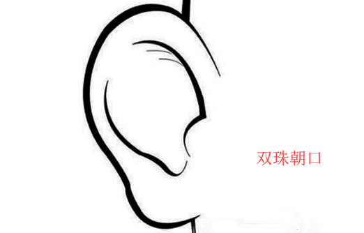 在面相中的双珠朝口为福相,就是指两个耳垂向嘴巴的位置,有此面相的人