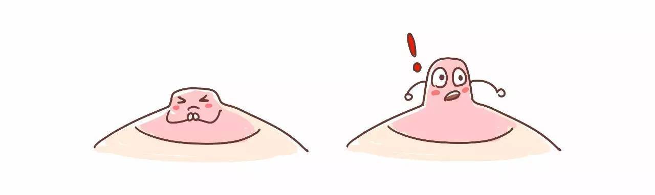 乳晕内皮脂腺肥大呈小颗粒状,分泌大量油脂性物质覆盖在皮肤表面.