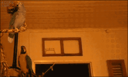 老婆你看那边有个神经病,我们要离他远点