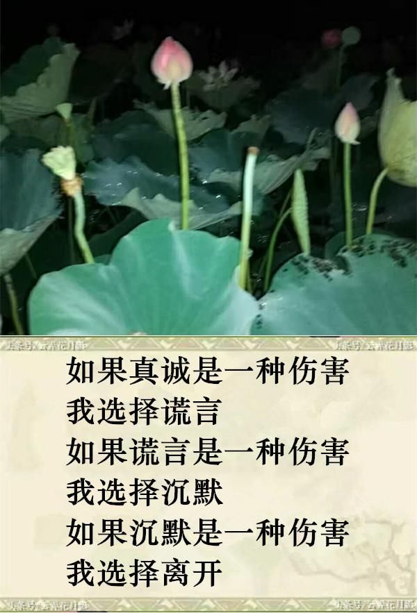 想是痛,等是累!爱一个人好苦,恨一个人好难!