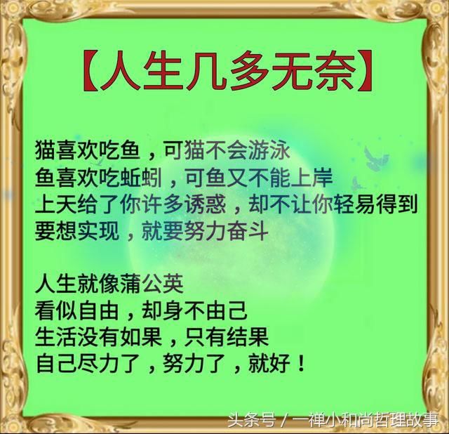 让人笑中带泪的一段话,道出了人生几多无奈,几多辛酸!