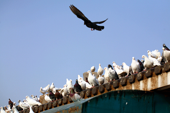 548_365gif 动态图 动图