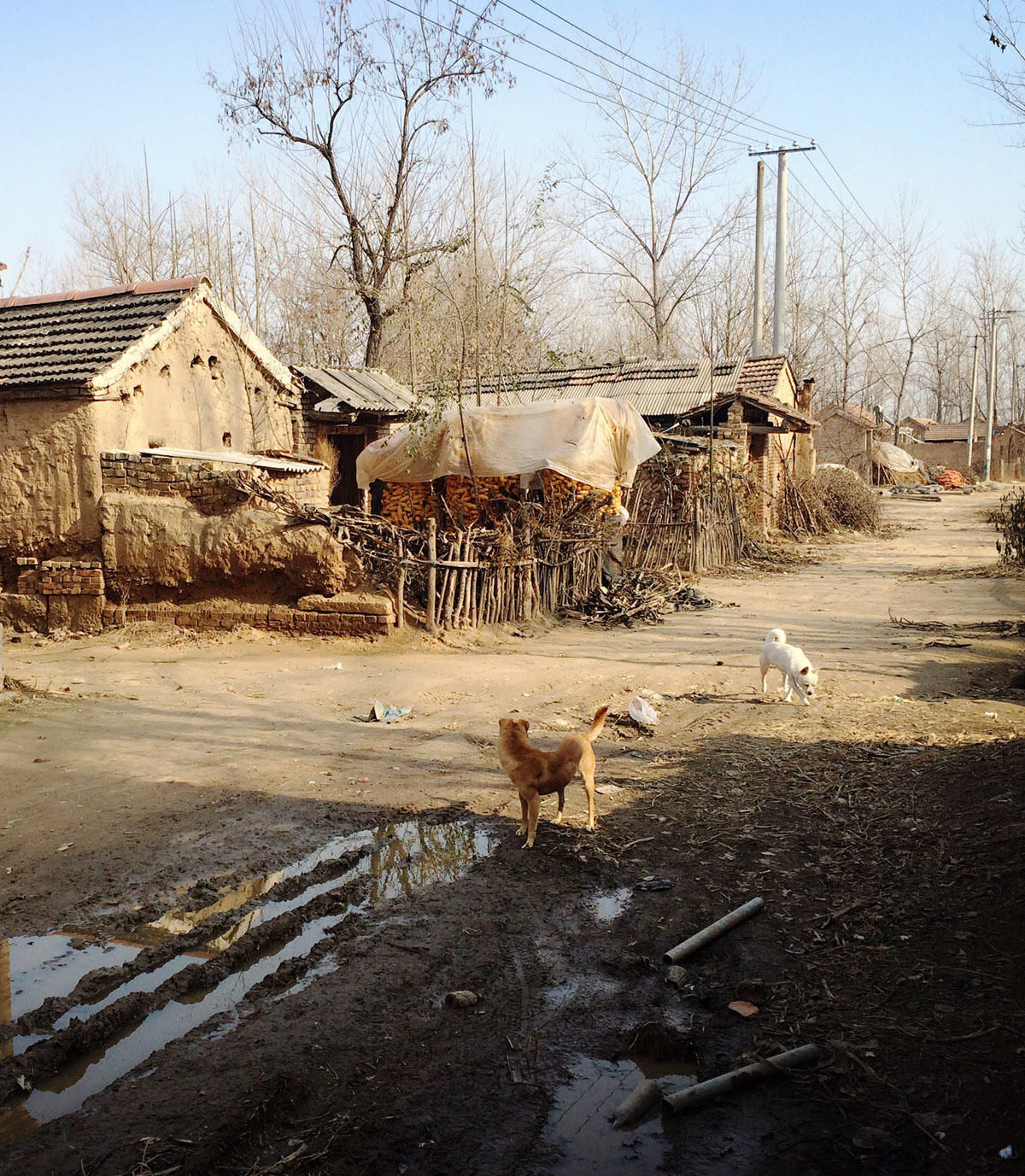 实拍真实的鲁西南农村,想不到山东竟有如此贫穷的村庄