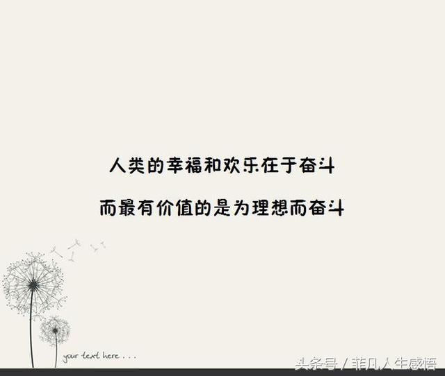 只要是自己的选择,就无怨无悔,写的真好