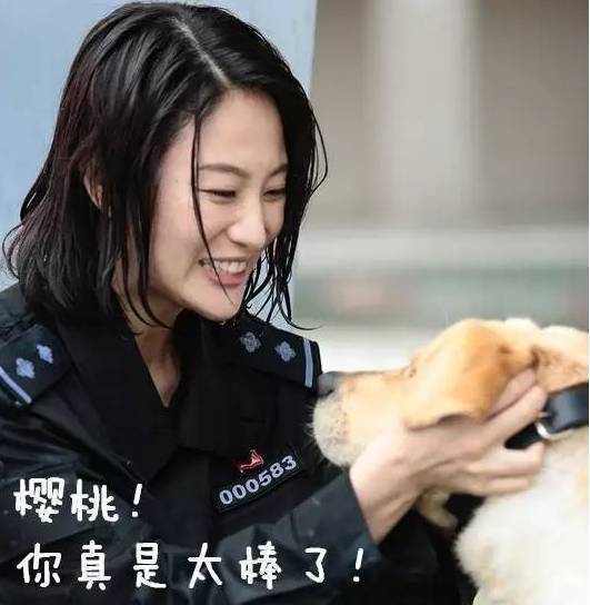 而这个女强人,就是侯梦莎!她曾经是《警花与警犬》中的最优秀训导员!