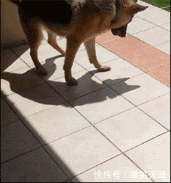 然后回到候诊厅,趁孩子家长去取药之际,我把章鱼丸子留在座位上假意