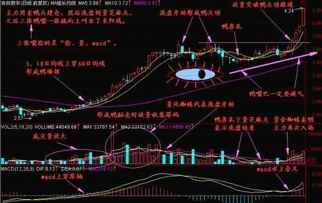 股票出现"老鸭头"形态, 股民一旦出手便是涨停板黑马股!