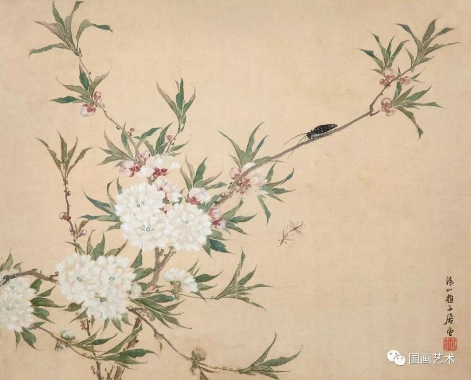 花开烂漫:居廉工笔花鸟草虫作品欣赏