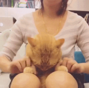 搞笑gif:有这样的一个闺蜜真糟心,求妹子心理阴影面积